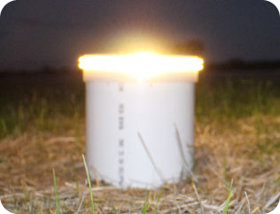 reticulated_runway_light